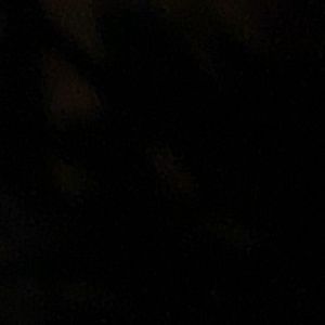 Meet your Posher, Rita